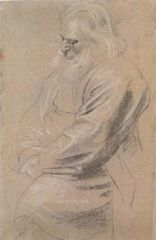 Peter Paul Rubens Sitting  old man oil painting picture